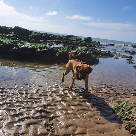 Beautiful Apartment 2 Mins To The Beach St Leonards-on-Sea Eksteriør billede