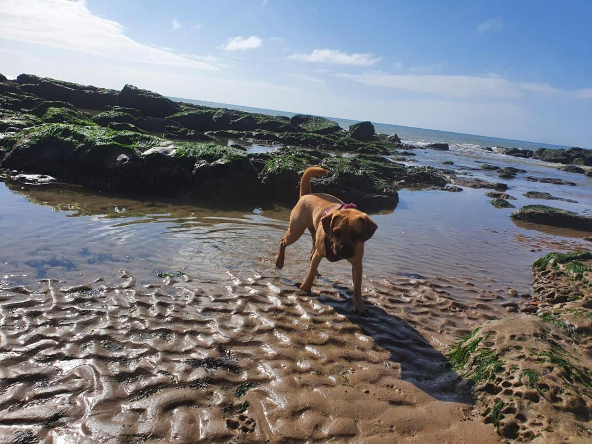 Beautiful Apartment 2 Mins To The Beach St Leonards-on-Sea Eksteriør billede